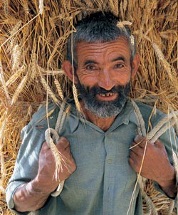 Народ на дълголетието